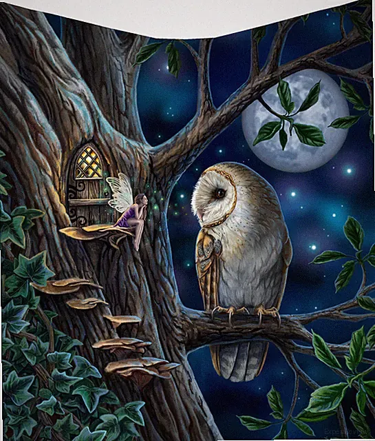 Fairy & Owl Fantasy Throw Blanket, Soft Cozy Bed & Couch Decor